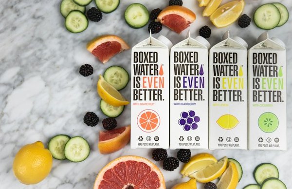 Quels sont les bienfaits de la méditation Vipassana pour la clarté mentale et la paix intérieure?